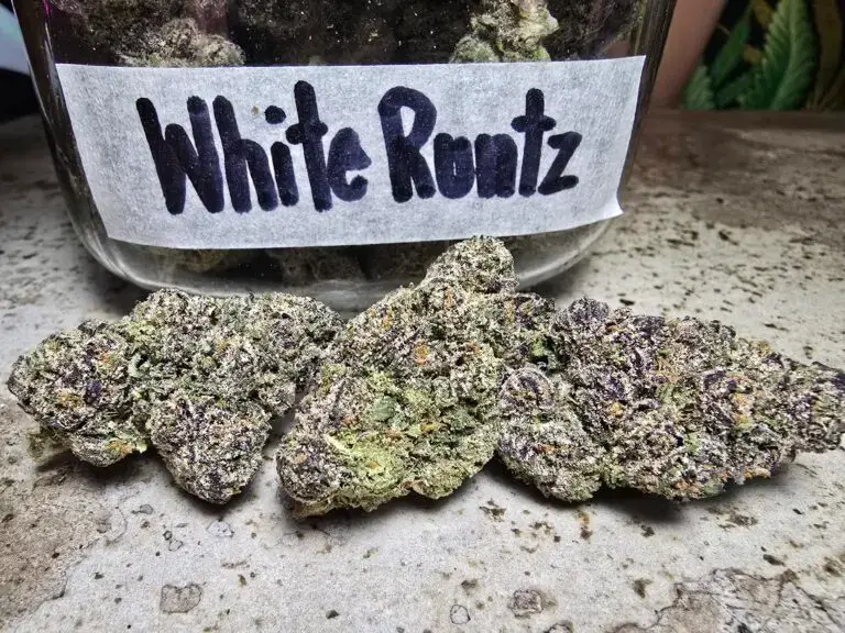 Best Dispensaries in Thailand