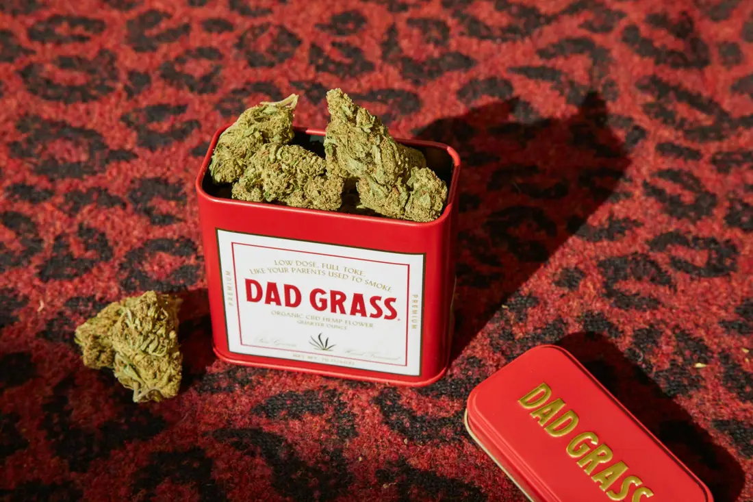 Cannabis tin on patterned red carpet