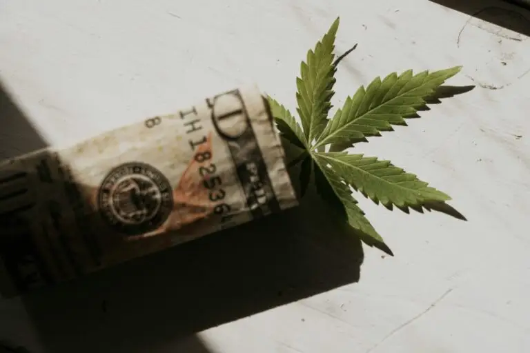 Dollar bill next to cannabis leaf