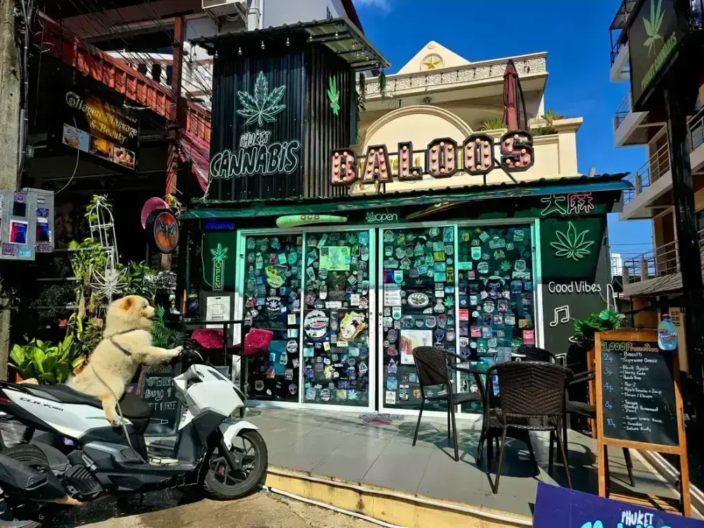 phuket weed dispensary
