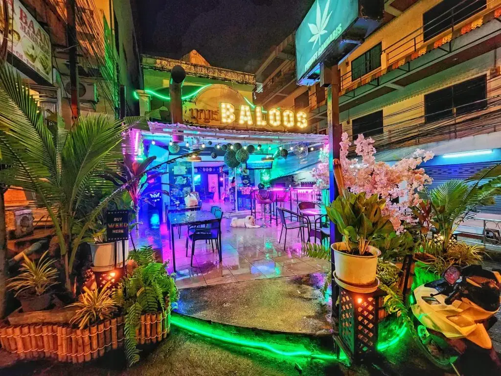 Phuket Cannabis - Premium Quality Weed Shop in Patong 5 Phuket Cannabis Dispensary Patong