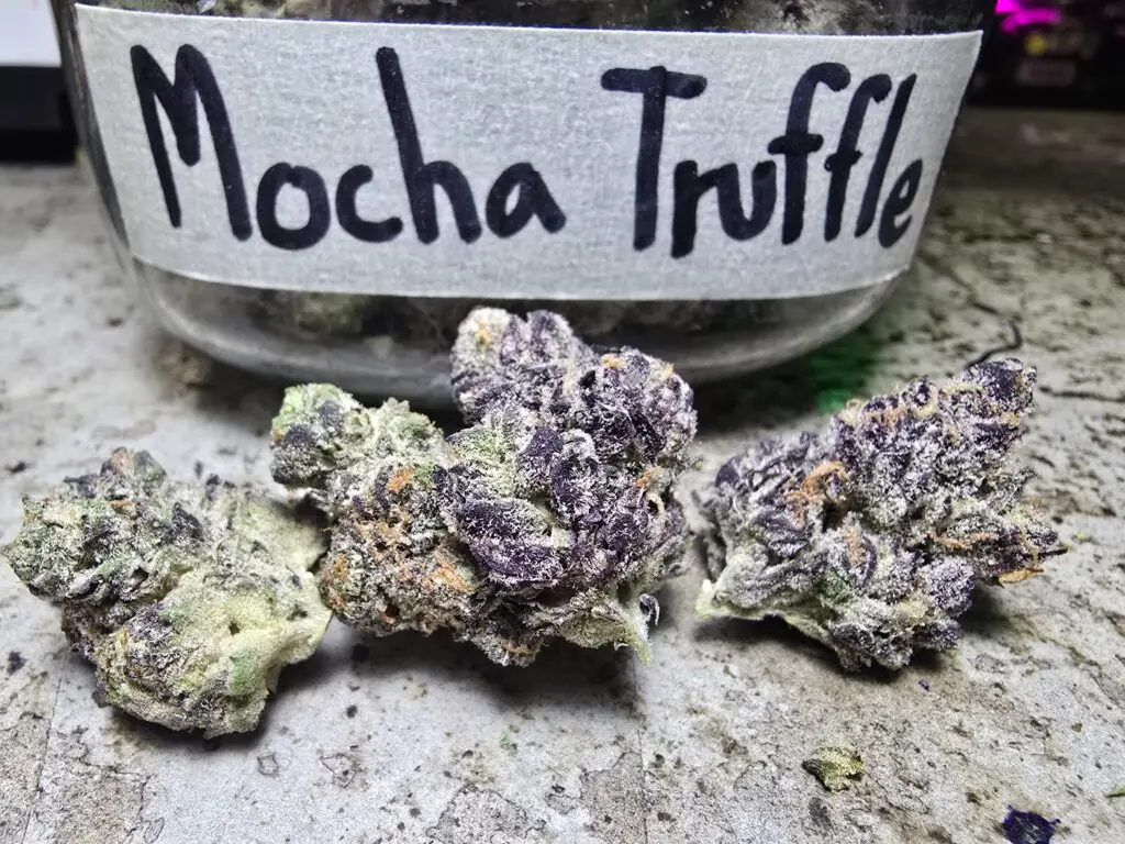 Best weed Patong phuket cannabis store