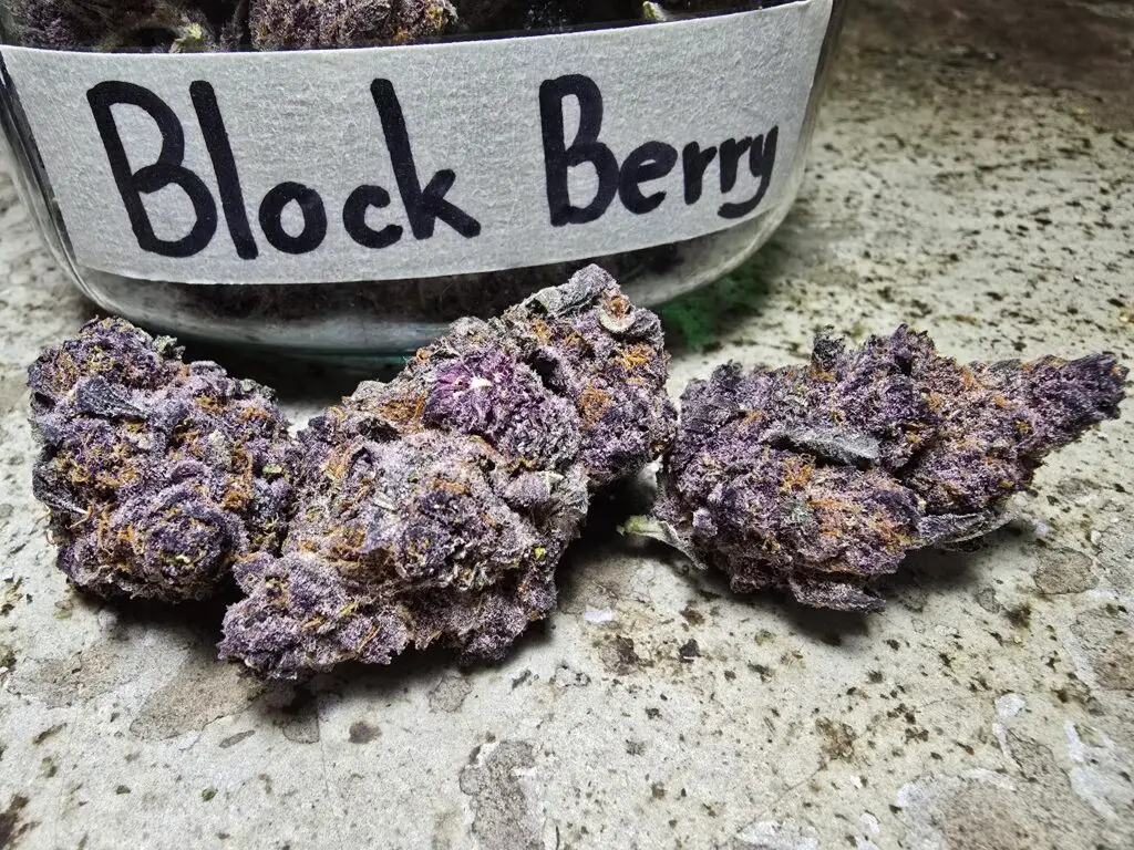 Best weed Patong phuket thailand