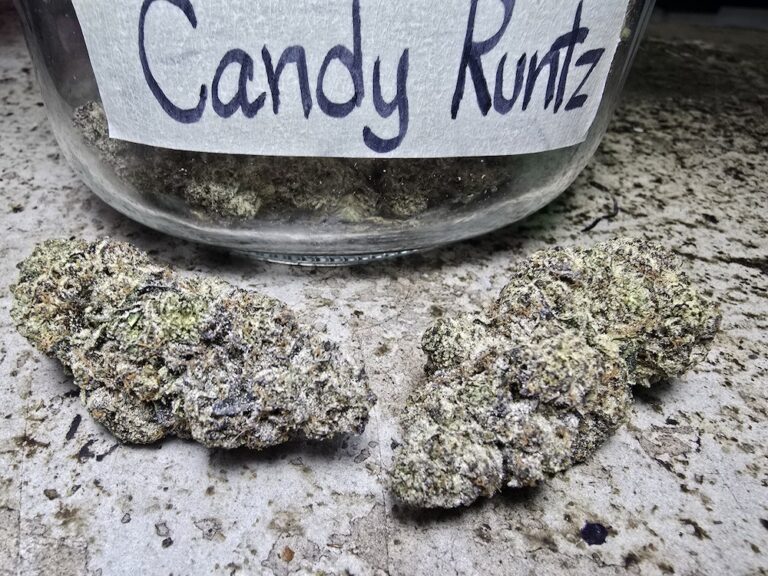 Phuket Cannabis - Premium Quality Weed Shop in Patong 15 candy runtz strain phuket cannabis
