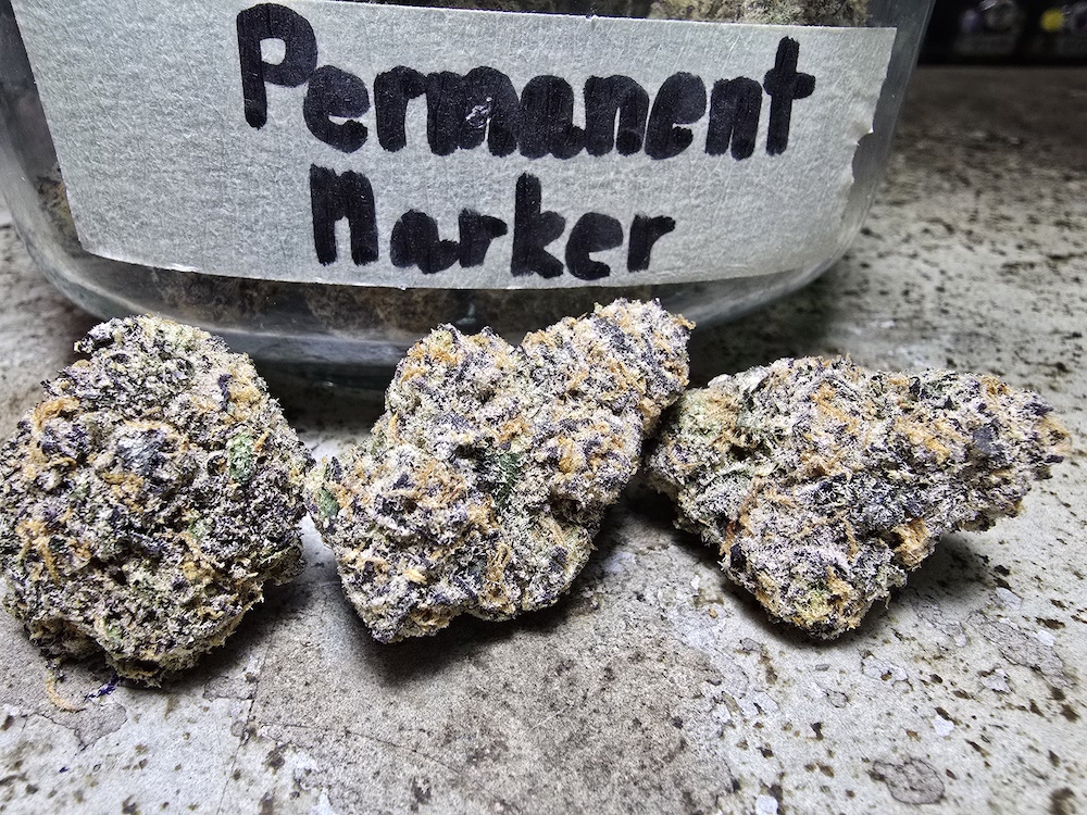 Phuket Cannabis - Premium Quality Weed Shop in Patong 4 permanent marker weed strain