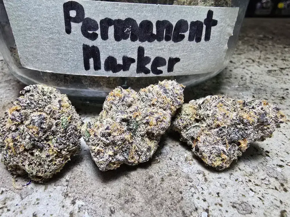 permanent marker weed strain