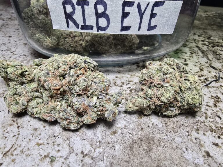 Phuket Cannabis - Premium Quality Weed Shop in Patong 23 rib eye strain thetenco los angeles