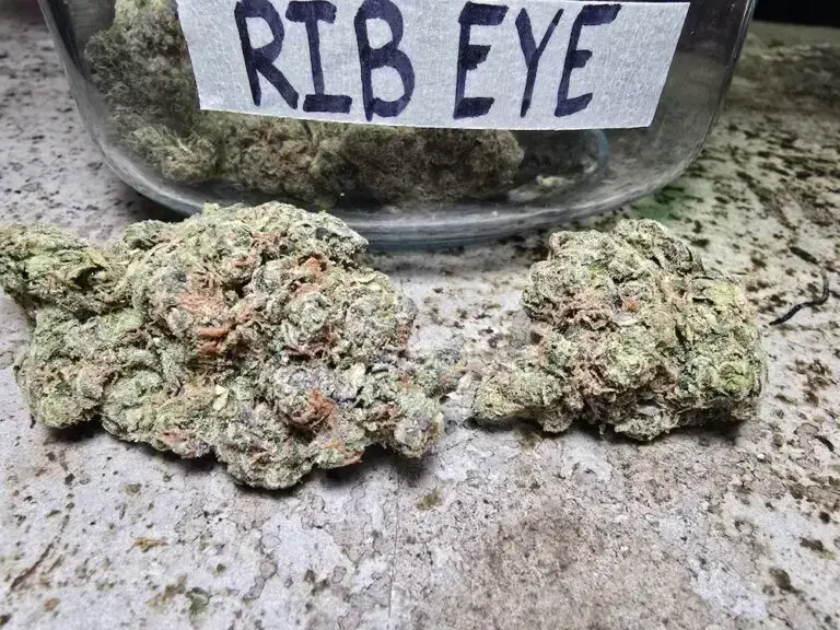 rib eye strain thetenco los angeles