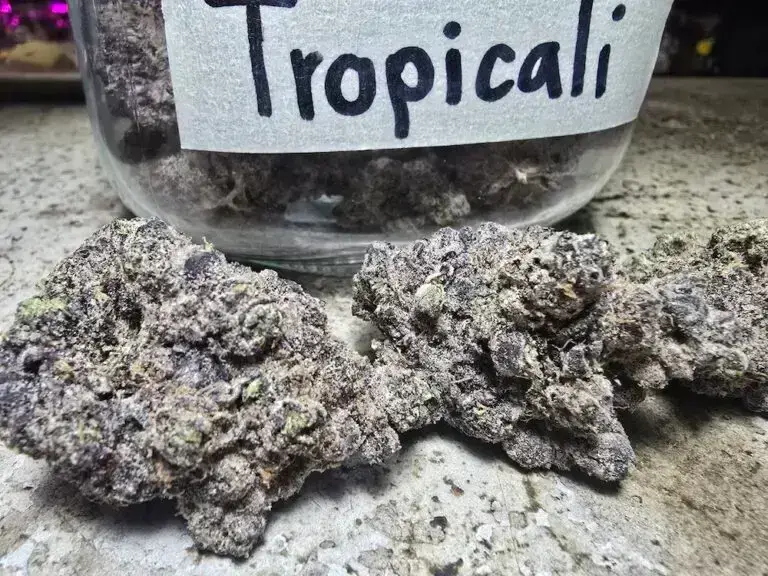 tropicali strain phuket cannabis Patong Weed Store