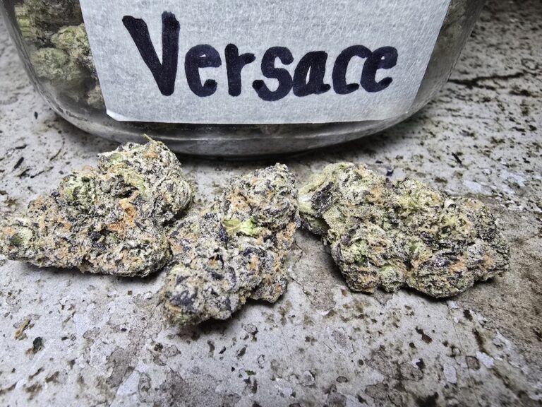 Phuket Cannabis - Premium Quality Weed Shop in Patong 22 versace strain cali weed