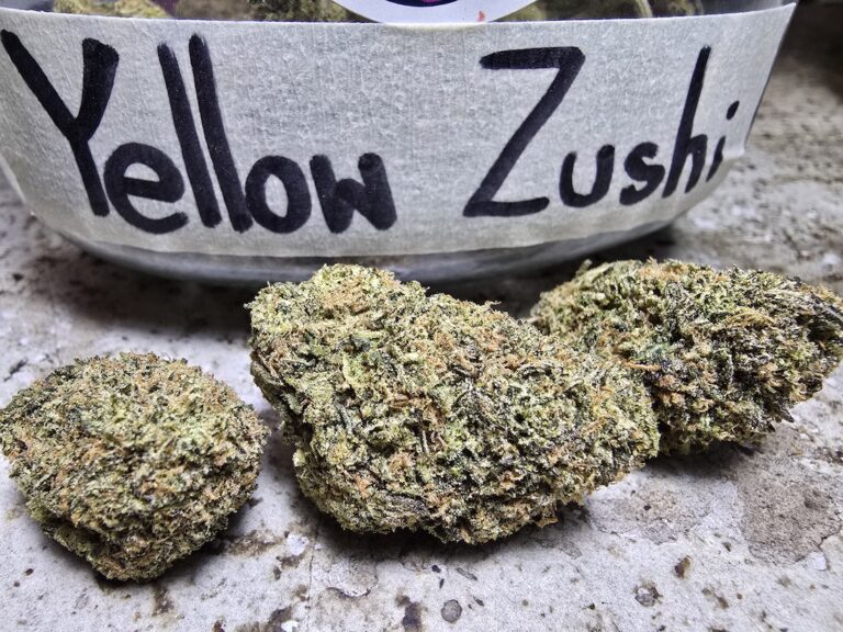 Phuket Cannabis - Premium Quality Weed Shop in Patong 11 yellow zushi strain the tenco cali phuket cannabis