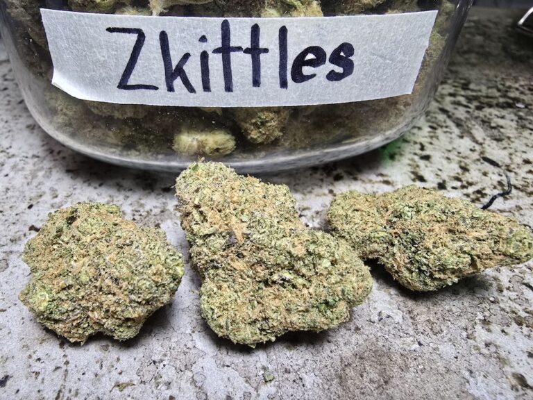 Phuket Cannabis - Premium Quality Weed Shop in Patong 8 zkittles strain phuket cannabis