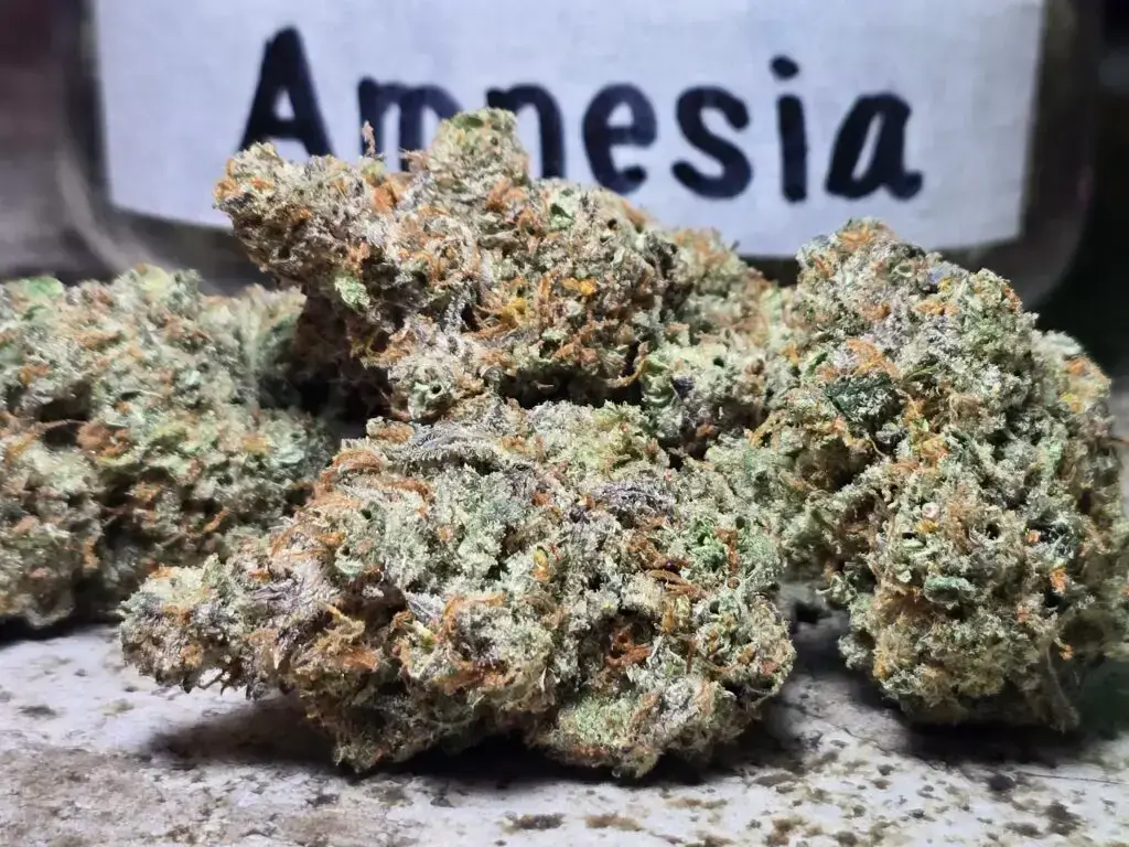 best Weed Shop in Phuket