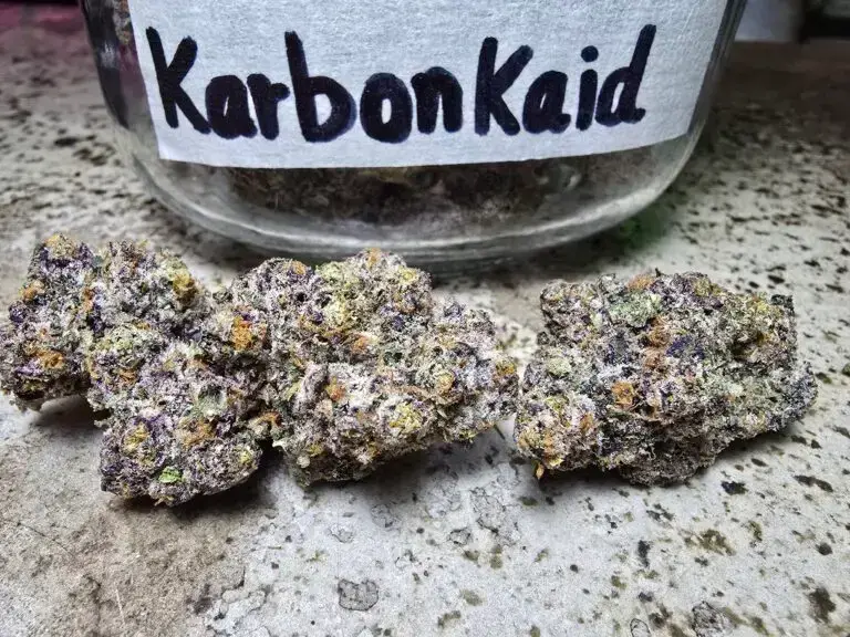 karbon kaid cali weed strain phuket cannabis