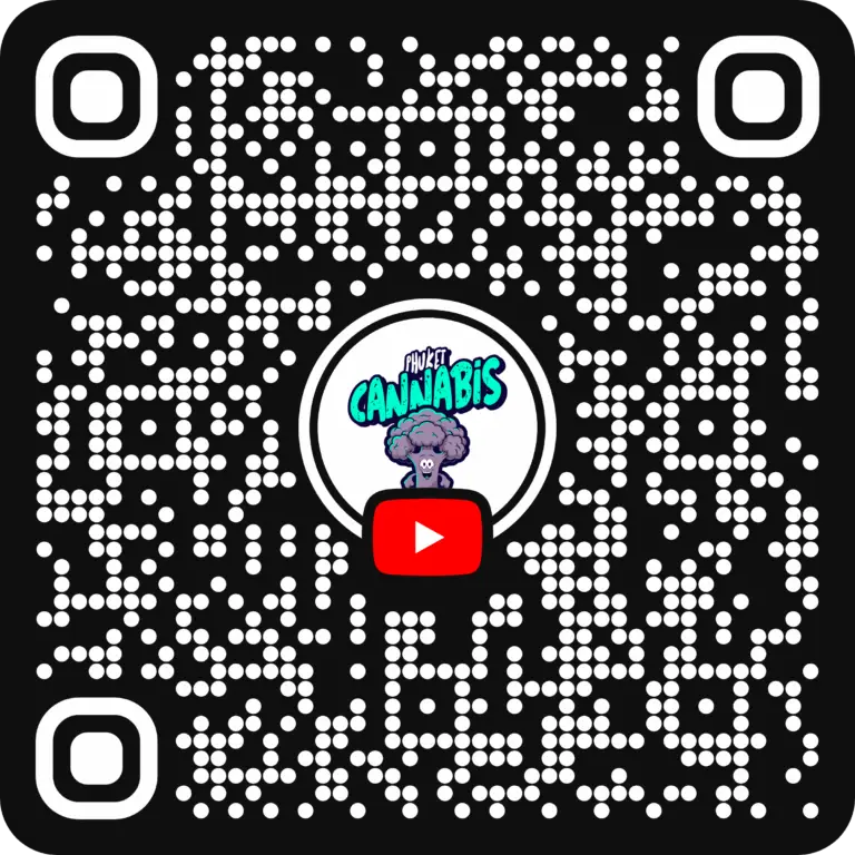 phuket cannabis youtube channel qr cde