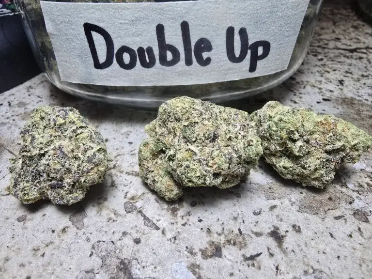 Double up weed strain phuket cannabis