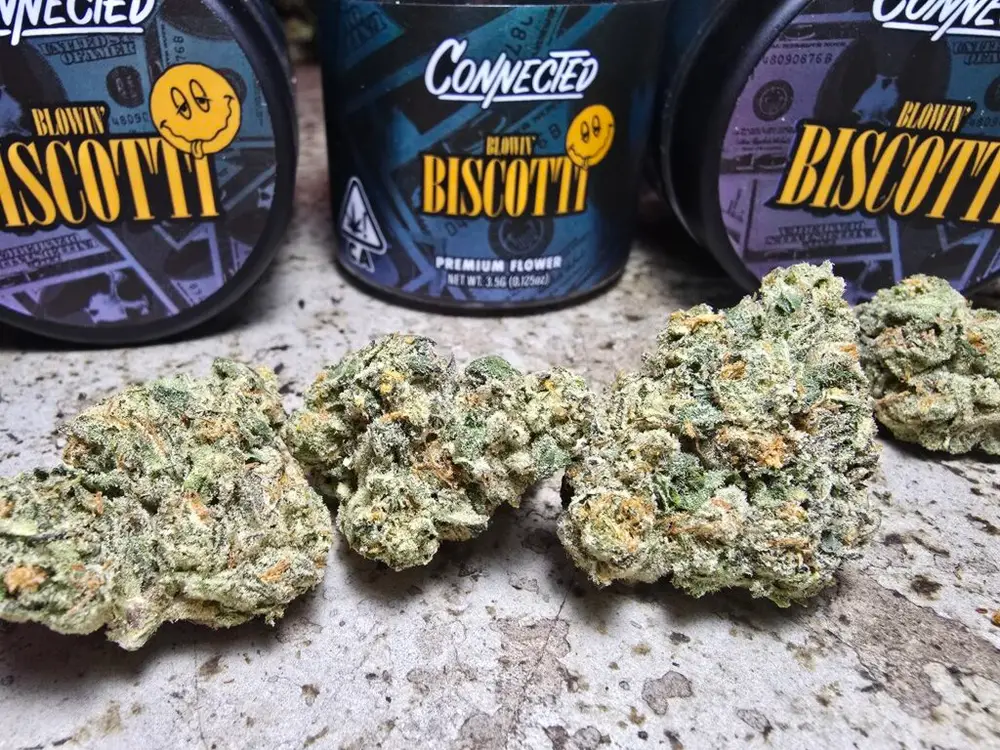 connected biscotti cali weed patong