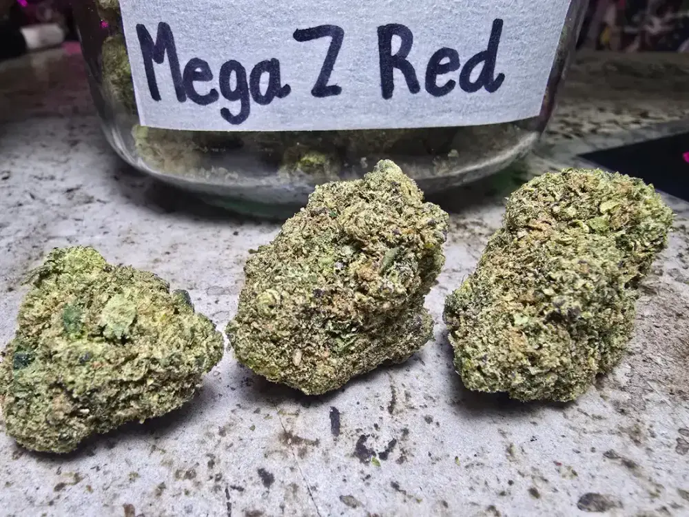 superdope mega z red phuket cannabis