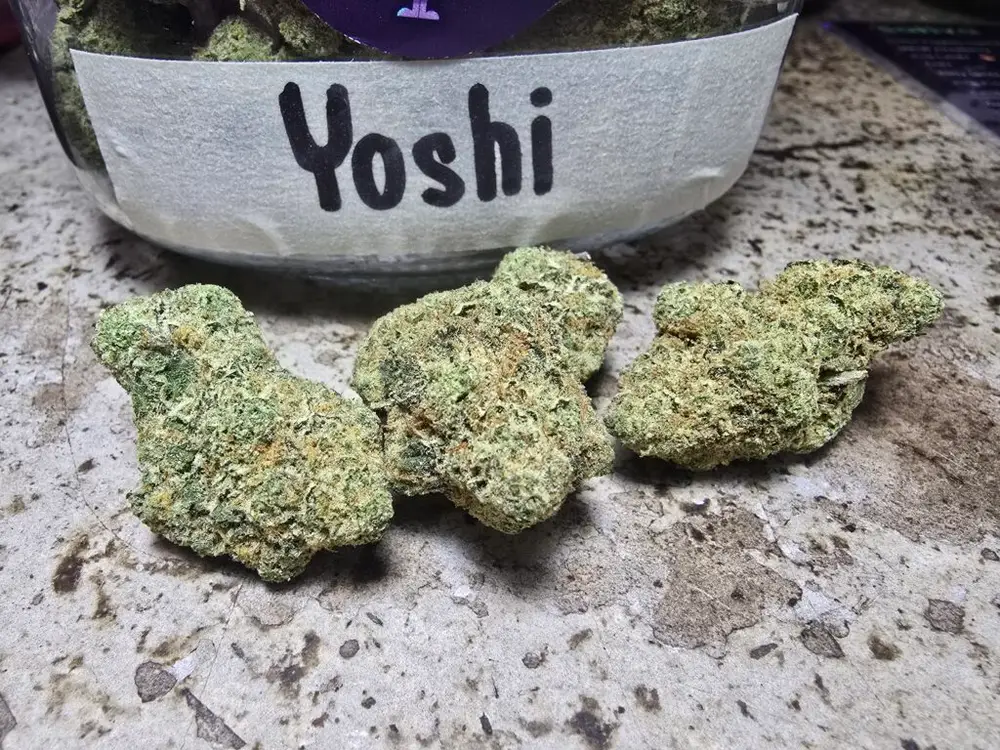 yoshi weed strain phuket cannabis