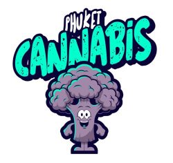 phuket cannabis shop dispensary patong logo